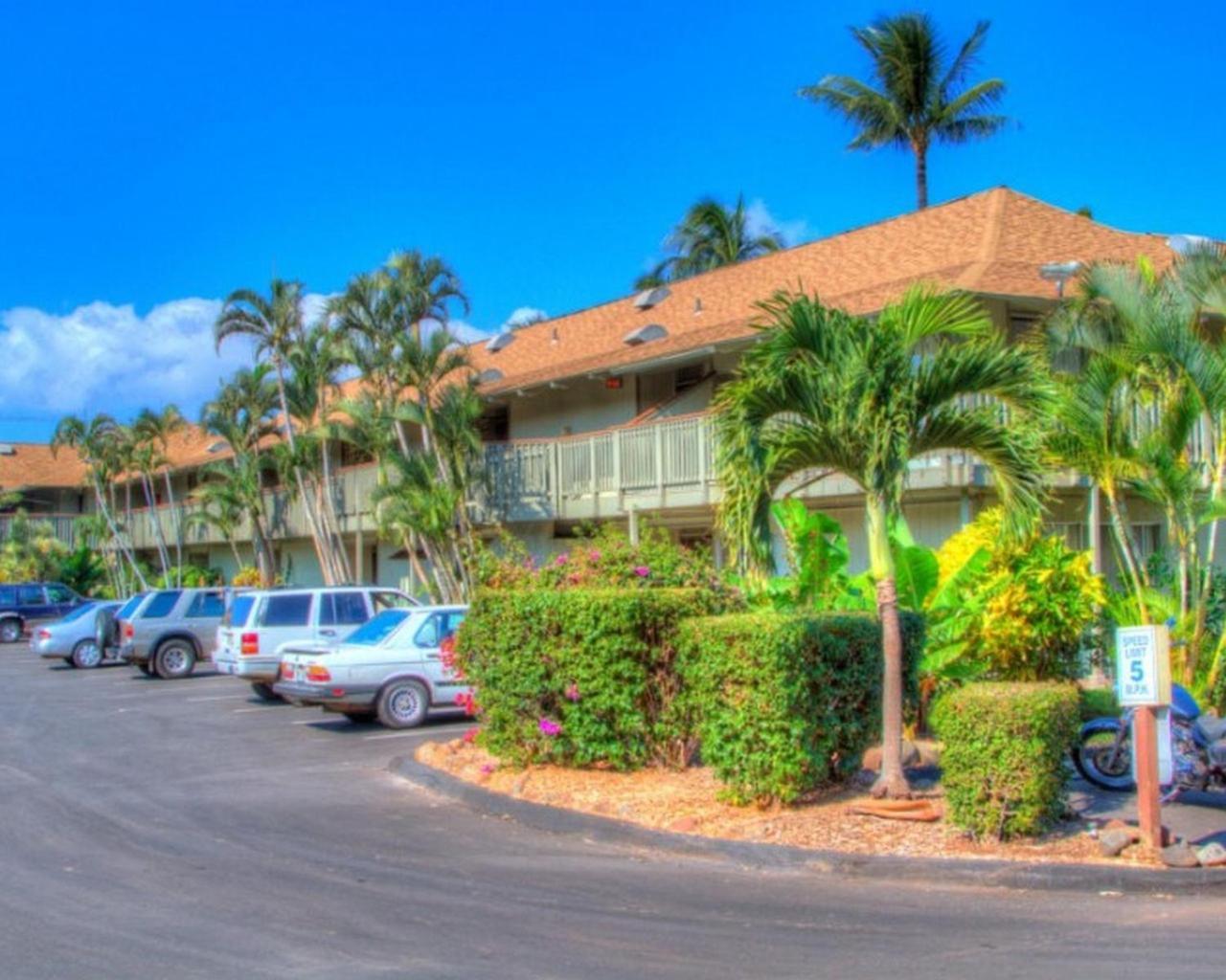 Kihei Bay Surf 130- Garden View Studio, Free Parking Eksteriør bilde